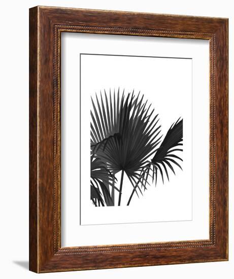 Fan Palm 1, Black On White-Fab Funky-Framed Art Print