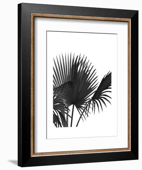 Fan Palm 1, Black On White-Fab Funky-Framed Art Print