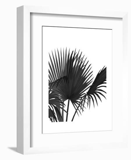Fan Palm 1, Black On White-Fab Funky-Framed Art Print