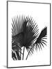 Fan Palm 1, Black On White-Fab Funky-Mounted Art Print