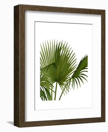 Fan Palm 1, Green on White-Fab Funky-Framed Art Print