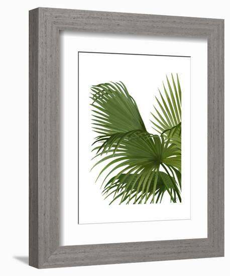 Fan Palm 2, Green on White-Fab Funky-Framed Art Print