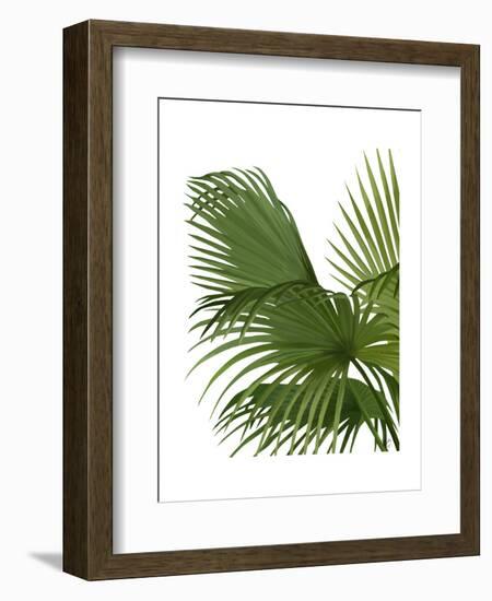 Fan Palm 2, Green on White-Fab Funky-Framed Art Print