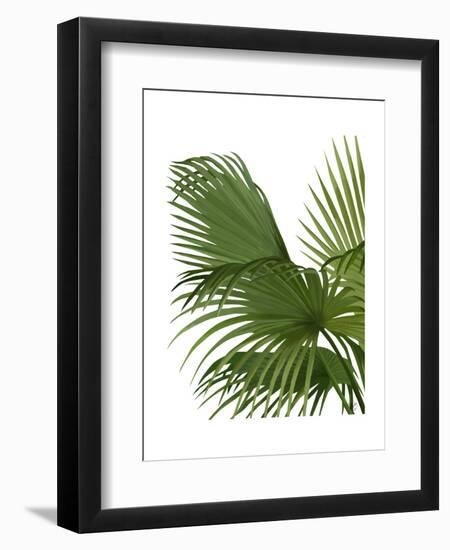 Fan Palm 2, Green on White-Fab Funky-Framed Art Print