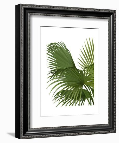 Fan Palm 2, Green on White-Fab Funky-Framed Art Print