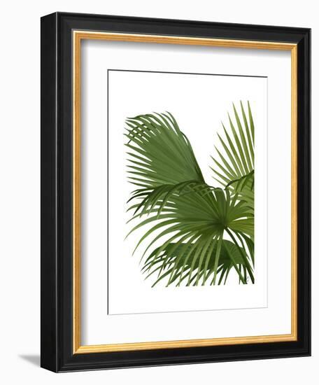 Fan Palm 2, Green on White-Fab Funky-Framed Art Print