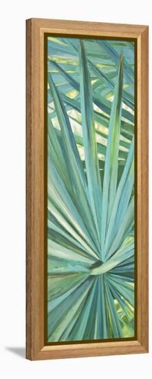 Fan Palm I-Suzanne Wilkins-Framed Stretched Canvas