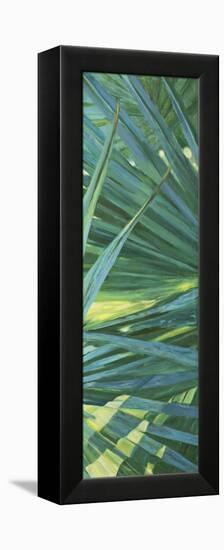 Fan Palm II-Suzanne Wilkins-Framed Stretched Canvas