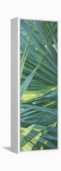 Fan Palm II-Suzanne Wilkins-Framed Stretched Canvas