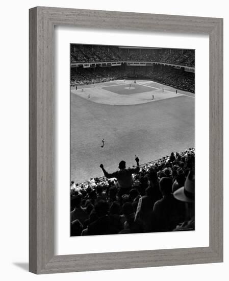 Fan Rooting for His Team in a Packed Stadium During Brooklyn Dodger Game at Ebbets-Sam Shere-Framed Photographic Print