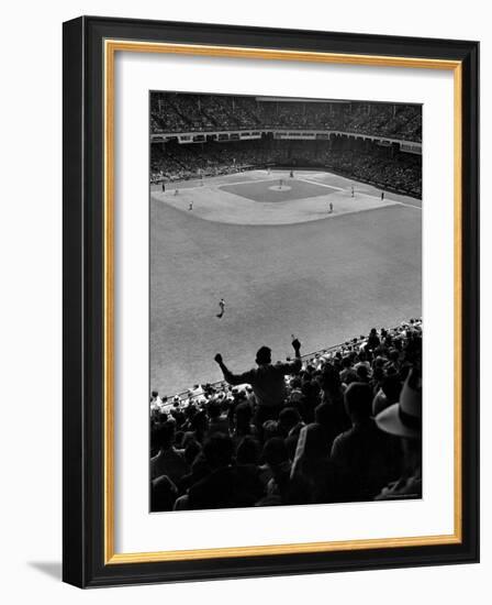 Fan Rooting for His Team in a Packed Stadium During Brooklyn Dodger Game at Ebbets-Sam Shere-Framed Photographic Print