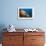 Fan Worm (Spirographis Spallanzanii) and Sponges on a Coral Reef-Reinhard Dirscherl-Framed Photographic Print displayed on a wall