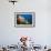 Fan Worm (Spirographis Spallanzanii) and Sponges on a Coral Reef-Reinhard Dirscherl-Framed Photographic Print displayed on a wall