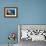 Fan Worm (Spirographis Spallanzanii) and Sponges on a Coral Reef-Reinhard Dirscherl-Framed Photographic Print displayed on a wall