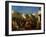 Fanatics of Tangier, C.1837-38-Eugene Delacroix-Framed Giclee Print