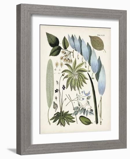 Fanciful Ferns IX-Unknown-Framed Art Print