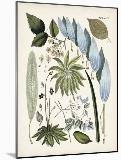 Fanciful Ferns IX-Unknown-Mounted Art Print