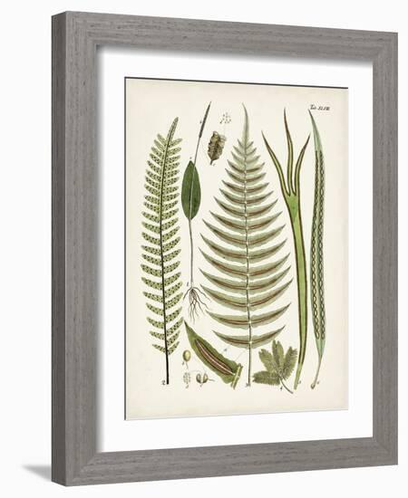 Fanciful Ferns V-Unknown-Framed Art Print