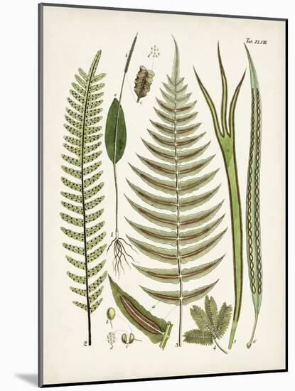 Fanciful Ferns V-Unknown-Mounted Art Print