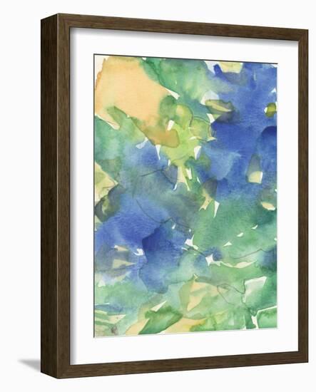 Fanciful Flora I-Samuel Dixon-Framed Art Print