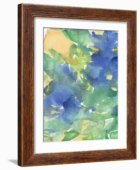 Fanciful Flora I-Samuel Dixon-Framed Art Print