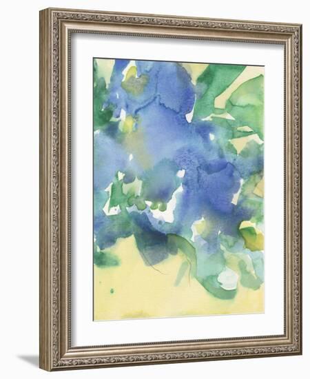 Fanciful Flora II-Samuel Dixon-Framed Art Print