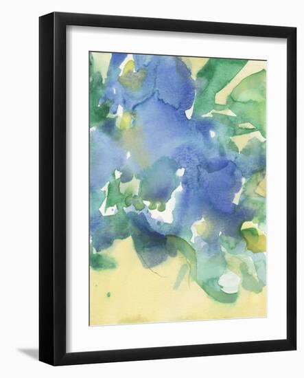 Fanciful Flora II-Samuel Dixon-Framed Art Print