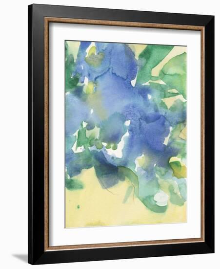 Fanciful Flora II-Samuel Dixon-Framed Art Print