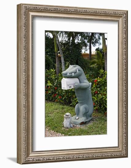 Fanciful Mailbox, Key Largo, Florida Keys, Florida, Usa-Axel Schmies-Framed Photographic Print
