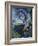 Fancy a Cat Painting-Sue Clyne-Framed Giclee Print