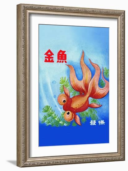 Fancy Bubble Eye Goldfish-null-Framed Art Print