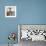 Fancy Free II-Joel Holsinger-Framed Art Print displayed on a wall