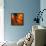 Fancy Glass 3-Ursula Abresch-Framed Premier Image Canvas displayed on a wall