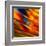 Fancy Glass 3-Ursula Abresch-Framed Premium Photographic Print