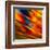 Fancy Glass 3-Ursula Abresch-Framed Premium Photographic Print