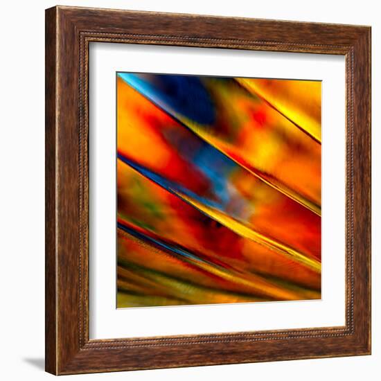 Fancy Glass 3-Ursula Abresch-Framed Premium Photographic Print