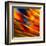 Fancy Glass 3-Ursula Abresch-Framed Premium Photographic Print