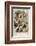 Fancy Pigeon Breeds-A.f. Lydon-Framed Photographic Print