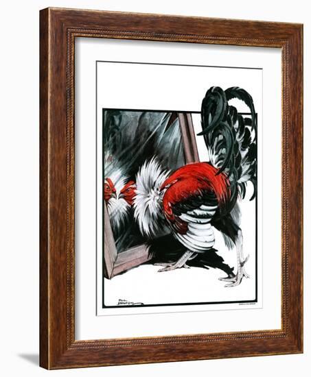 "Fancy Rooster in Mirror,"April 21, 1923-Paul Bransom-Framed Giclee Print