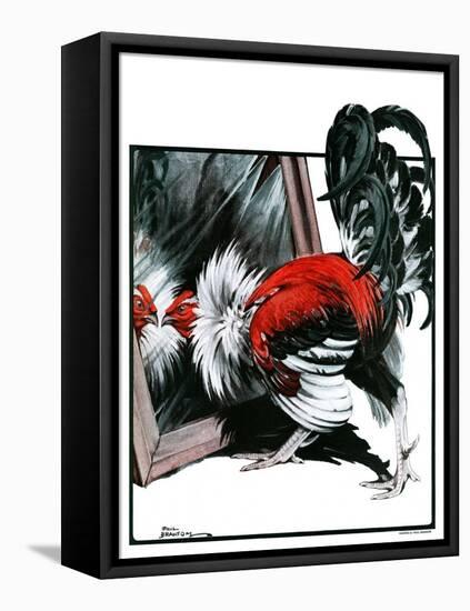 "Fancy Rooster in Mirror,"April 21, 1923-Paul Bransom-Framed Premier Image Canvas