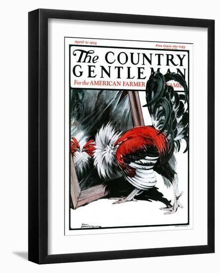 "Fancy Rooster in Mirror," Country Gentleman Cover, April 21, 1923-Paul Bransom-Framed Giclee Print
