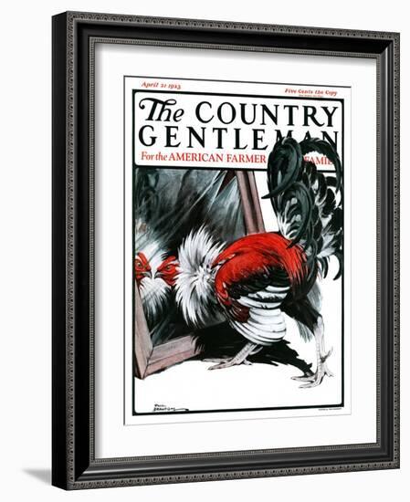 "Fancy Rooster in Mirror," Country Gentleman Cover, April 21, 1923-Paul Bransom-Framed Giclee Print