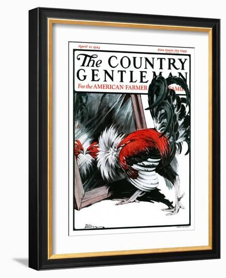 "Fancy Rooster in Mirror," Country Gentleman Cover, April 21, 1923-Paul Bransom-Framed Giclee Print