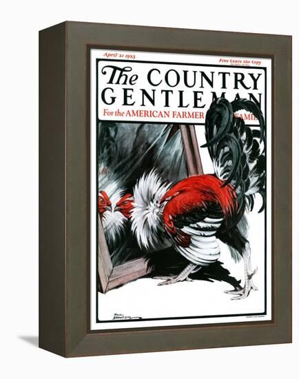 "Fancy Rooster in Mirror," Country Gentleman Cover, April 21, 1923-Paul Bransom-Framed Premier Image Canvas