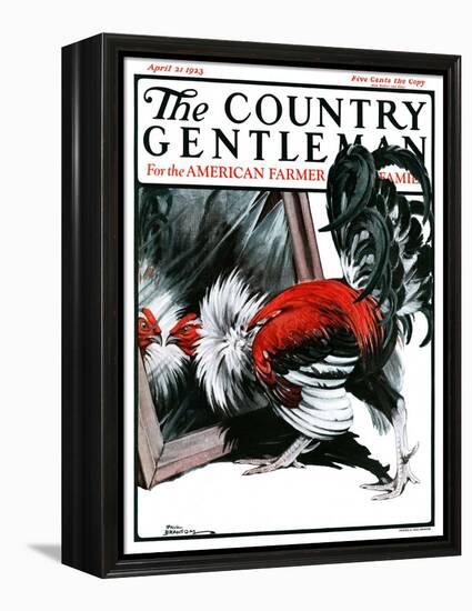 "Fancy Rooster in Mirror," Country Gentleman Cover, April 21, 1923-Paul Bransom-Framed Premier Image Canvas