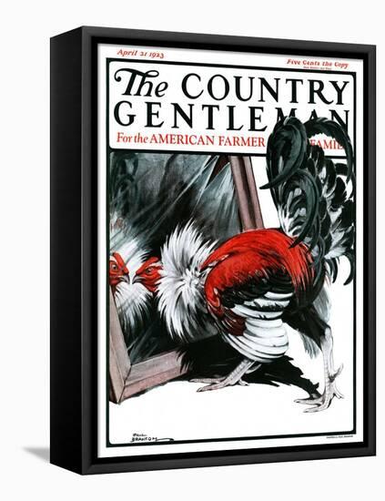"Fancy Rooster in Mirror," Country Gentleman Cover, April 21, 1923-Paul Bransom-Framed Premier Image Canvas