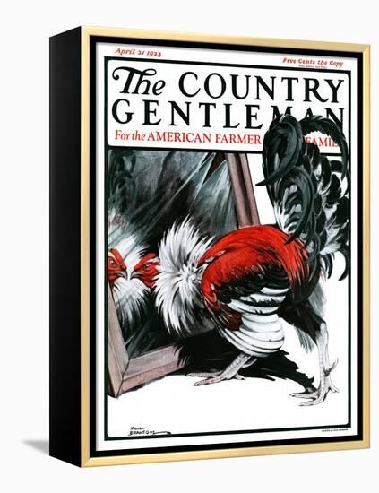 "Fancy Rooster in Mirror," Country Gentleman Cover, April 21, 1923-Paul Bransom-Framed Premier Image Canvas