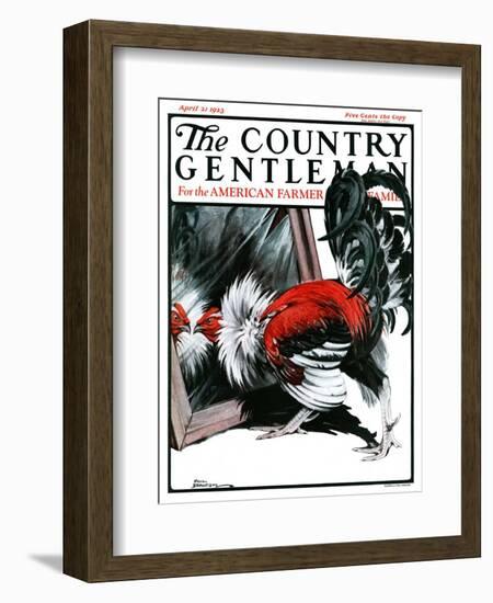 "Fancy Rooster in Mirror," Country Gentleman Cover, April 21, 1923-Paul Bransom-Framed Giclee Print