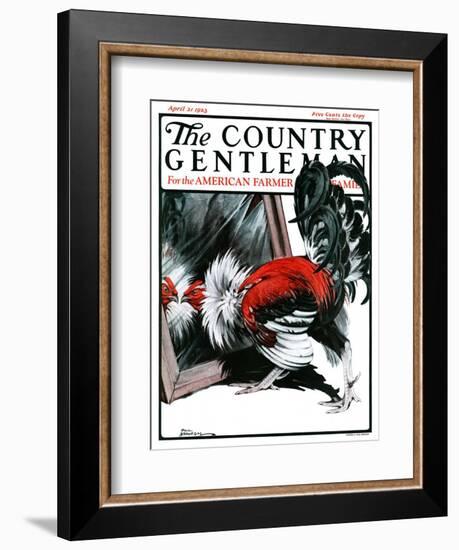 "Fancy Rooster in Mirror," Country Gentleman Cover, April 21, 1923-Paul Bransom-Framed Giclee Print