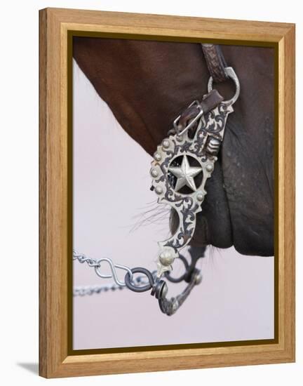 Fancy Silver Bit on Horse Bridle of Cowboy, Flitner Ranch, Shell, Wyoming, USA-Carol Walker-Framed Premier Image Canvas